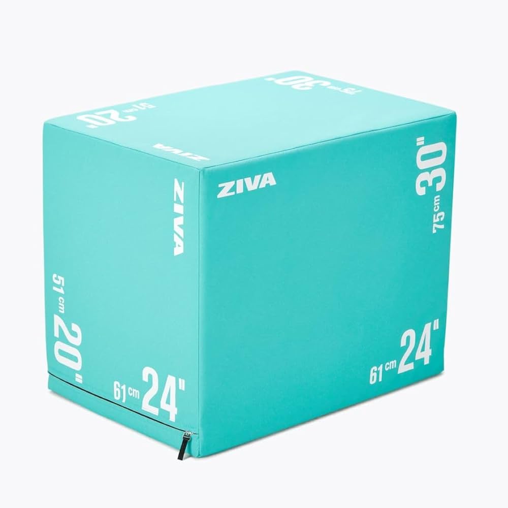 Amazon | ZIVA (ジバ) シックなプライオボックス - 3イン1